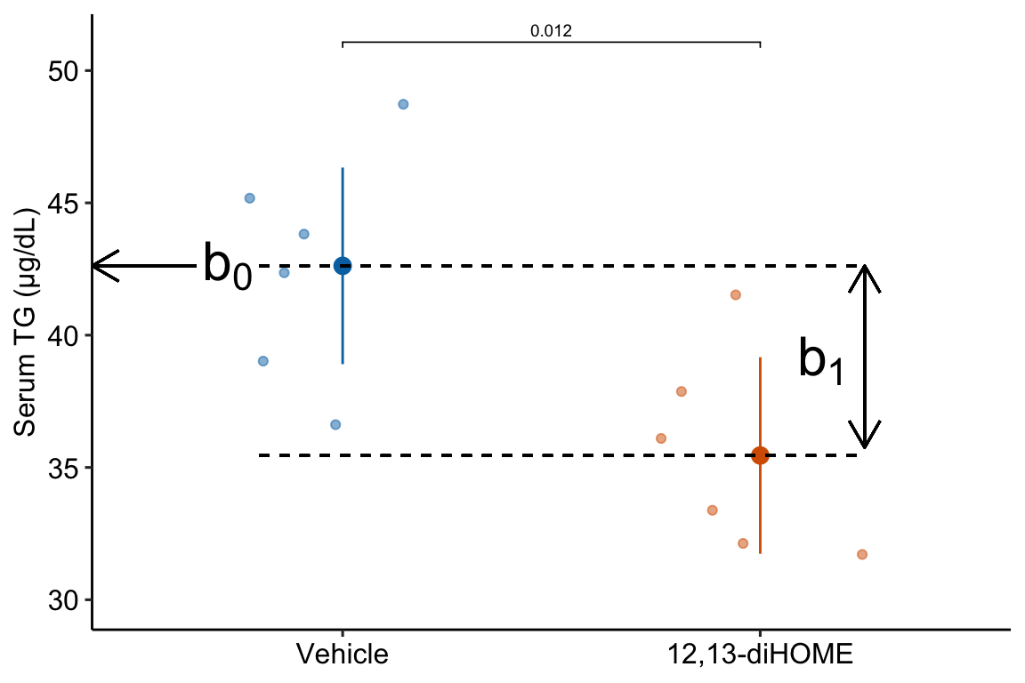 What the coefficients of a linear model with a single categorical X mean. The means of the two treatment levels for the serum TG data are shown with the large, filled circles and the dashed lines. The intercept ($b_0$) is the mean of the reference treatment level ("Vehicle"). The coefficient $b_1$ is the difference between the treatment level's mean and the reference mean. As with a linear model with a continuous $X$, the coefficient $b_1$ is an effect.