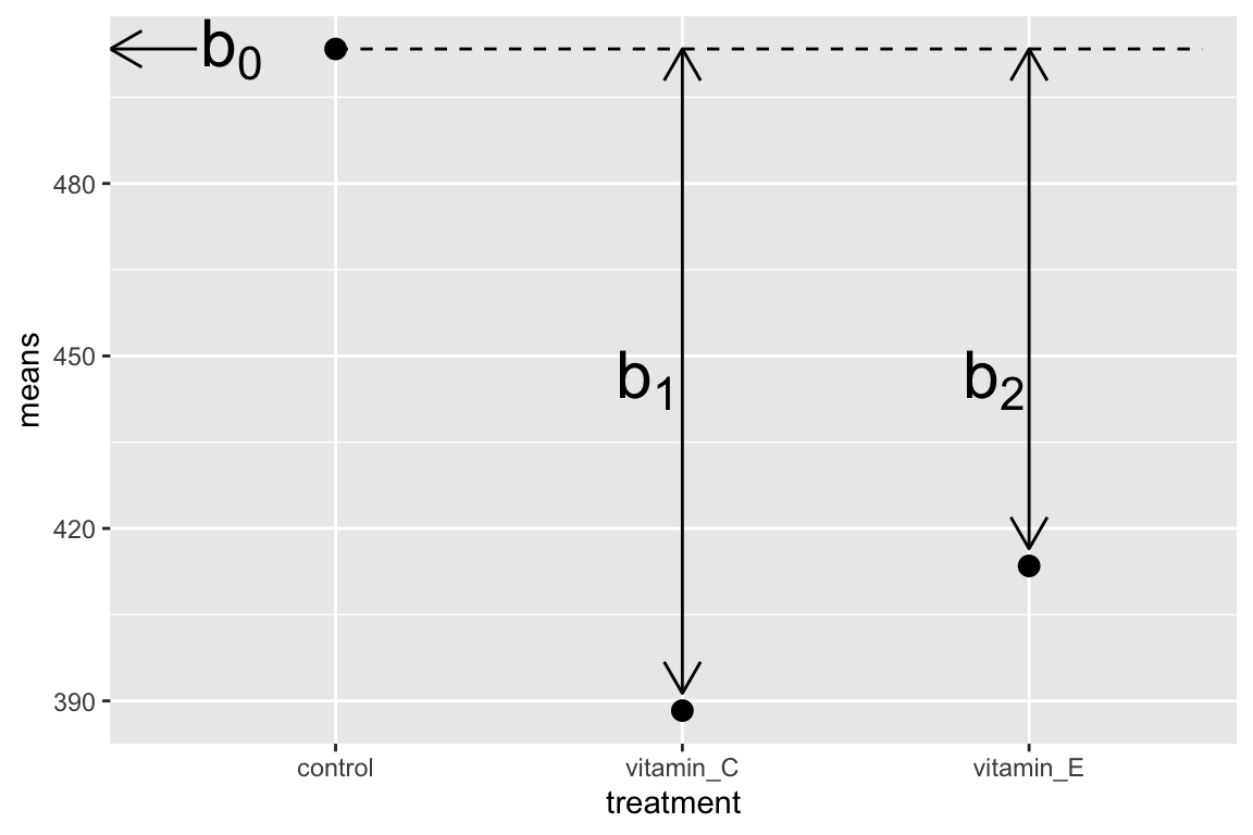 What the coefficients of a linear model with a single categorical X mean. The means of the three treatment levels for the vole data are shown with the filled circles. The length of the double-headed arrows are differences in means. The intercept ($b_0$) is the mean of the reference treatment level. The coefficients ($b_1$ and $b_2$) are the differences between the treatment level's mean and the reference mean. As with a linear model with a continuous X, the coefficients are effects.