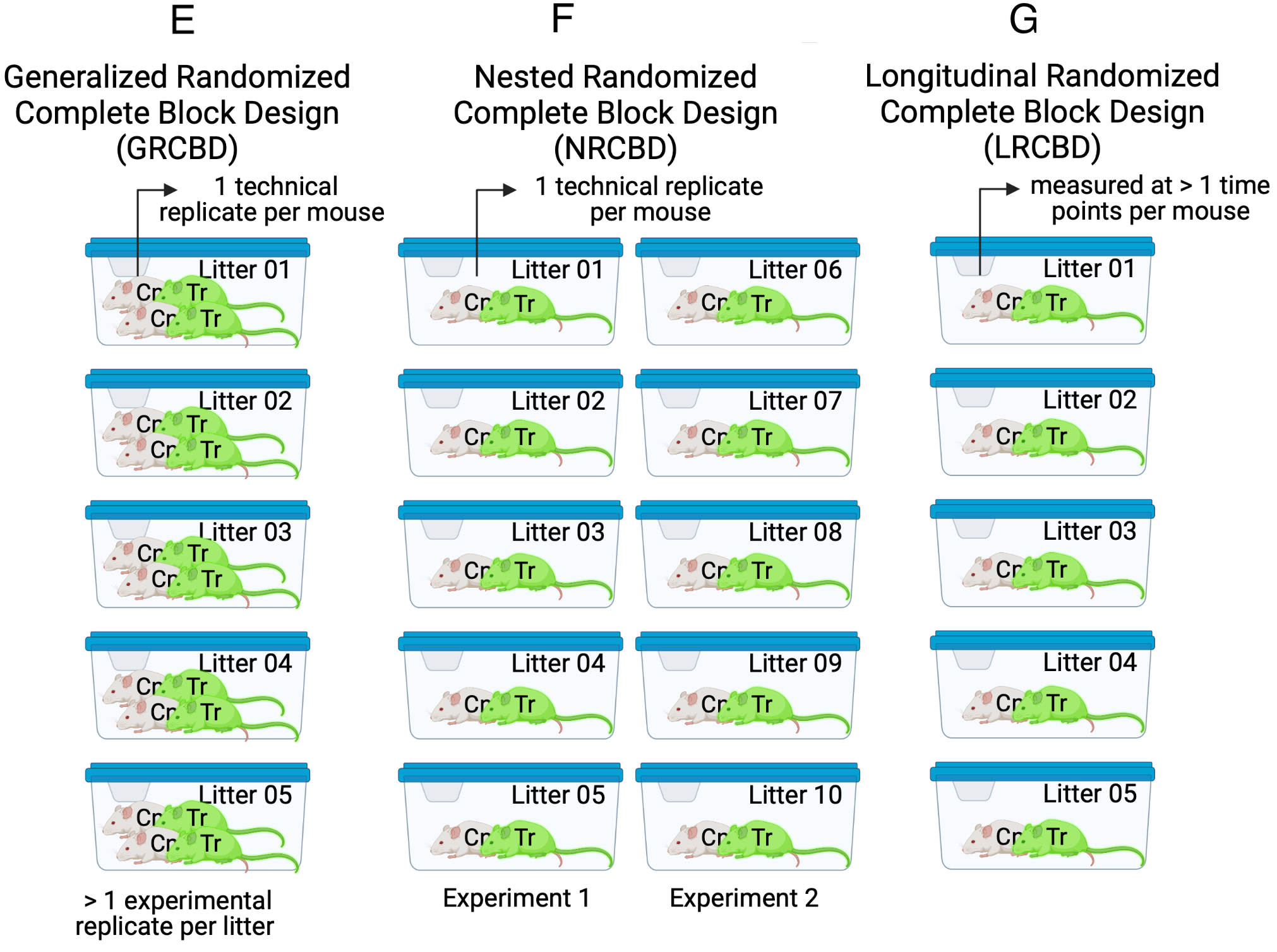 Experimental designs in experimental bench biology. Images created with BioRender.com