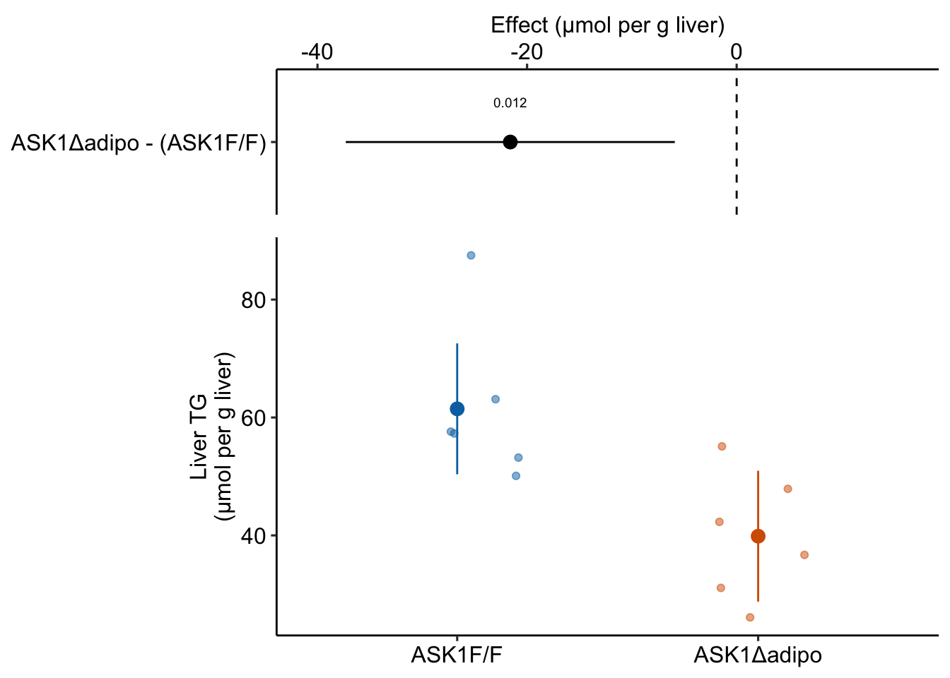 The effect of adipose-specific ASK1 knockout on liver triglyceride (TG).