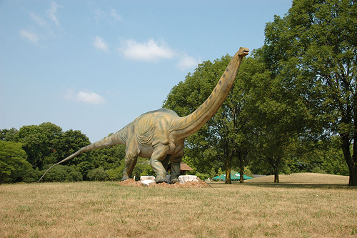 Apatosaurus